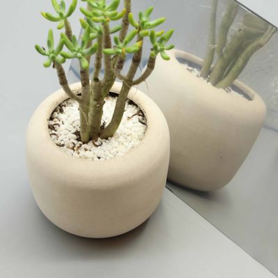 Không gian thời trang Phân tích nhôm kết thúc gương 3mm / 4mm Độ dày 1,5 × 2,44m Kích thước bổ sung Với bề mặt hợp kim nhôm Cho không gian pha trộn thiết kế hiện đại